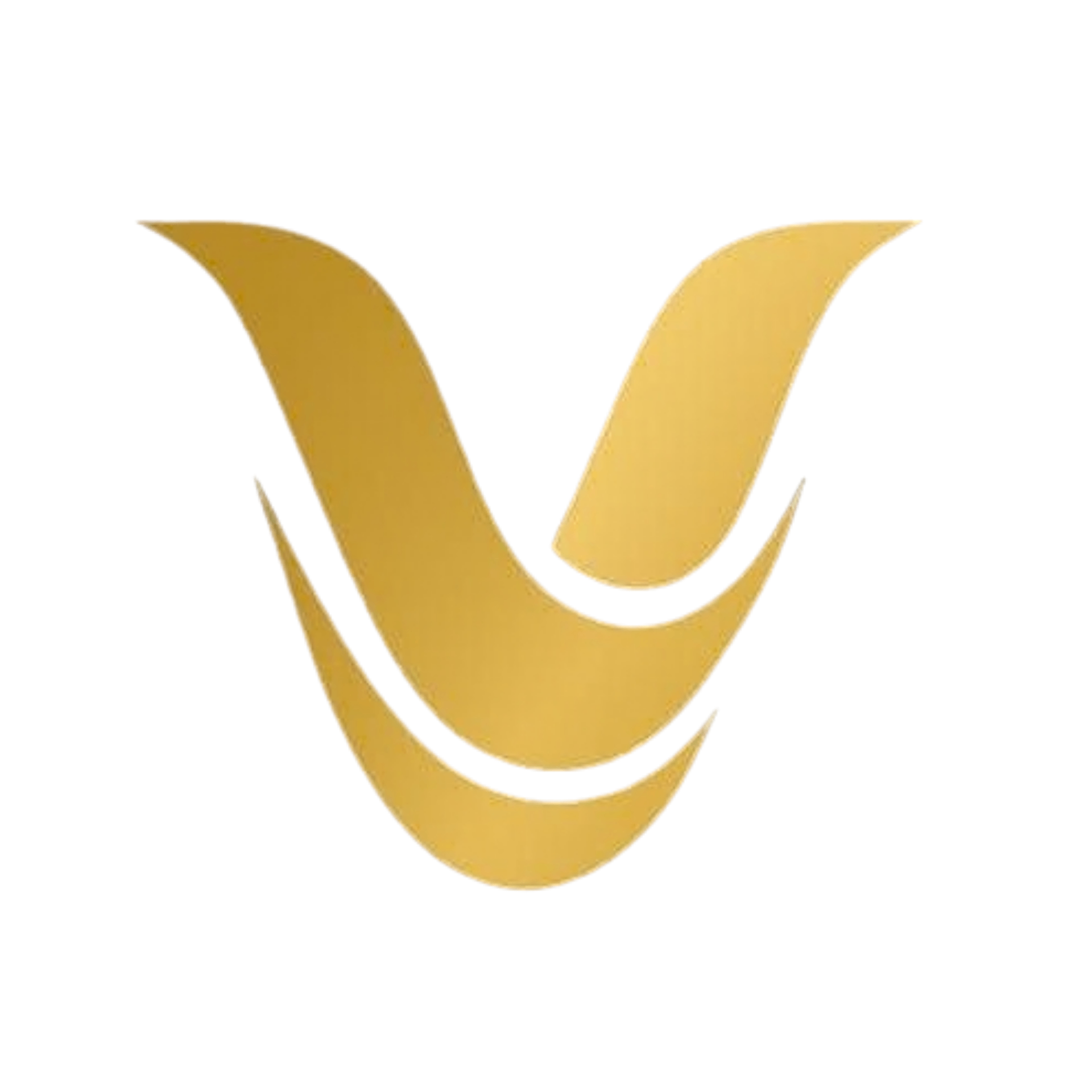Logo VELMO